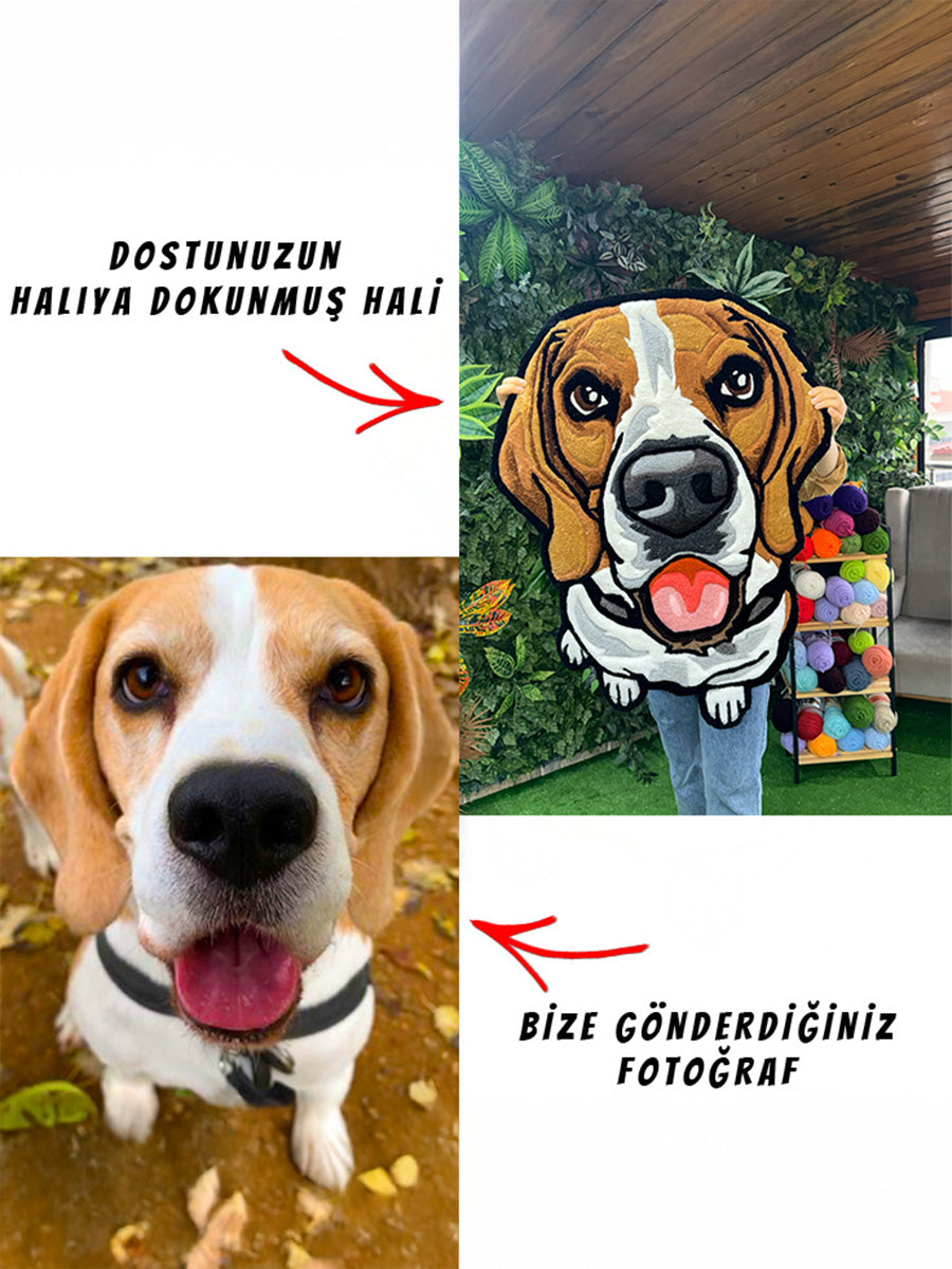 PATIYA Custom Pet Portrait | Handmade Tufted Rug